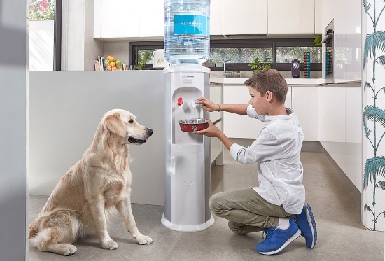 Arterofotografos es un estudio especializado en Fotografía publicitaria en Valencia, fotografia de producto profesional, estudio de fotografia en valencia, fotografia de interiorismo, fotografia de alimentacion, produccion de video corporativo en valencia, fotografia profesional de alta calidad