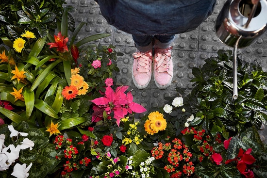 Arterofotografos es un estudio especializado en Fotografía publicitaria en Valencia, fotografia de producto profesional, estudio de fotografia en valencia, fotografia de interiorismo, fotografia de alimentacion, produccion de video corporativo en valencia, fotografia profesional de alta calidad