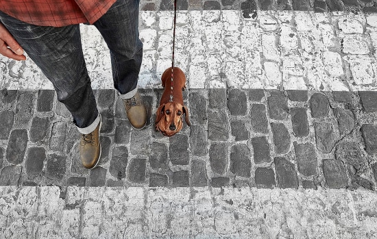 Arterofotografos es un estudio especializado en Fotografía publicitaria en Valencia, fotografia de producto profesional, estudio de fotografia en valencia, fotografia de interiorismo, fotografia de alimentacion, produccion de video corporativo en valencia, fotografia profesional de alta calidad