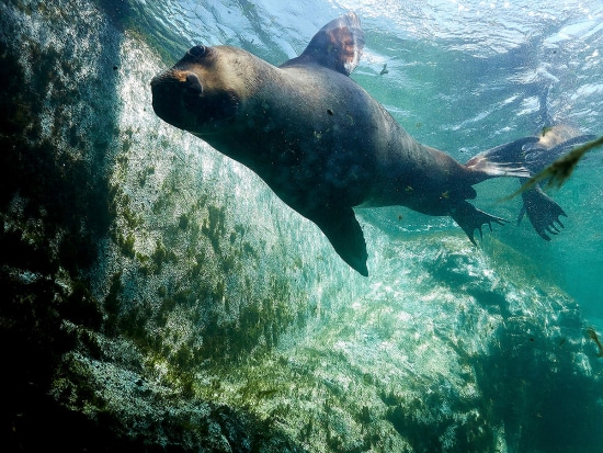 Arterofotografos es un estudio especializado en Fotografía publicitaria en Valencia, fotografia de producto profesional, estudio de fotografia en valencia, fotografia de interiorismo, fotografia de alimentacion, produccion de video corporativo en valencia, fotografia profesional de alta calidad