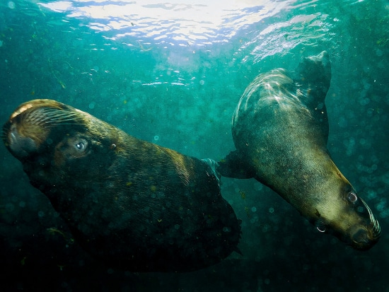 Arterofotografos es un estudio especializado en Fotografía publicitaria en Valencia, fotografia de producto profesional, estudio de fotografia en valencia, fotografia de interiorismo, fotografia de alimentacion, produccion de video corporativo en valencia, fotografia profesional de alta calidad