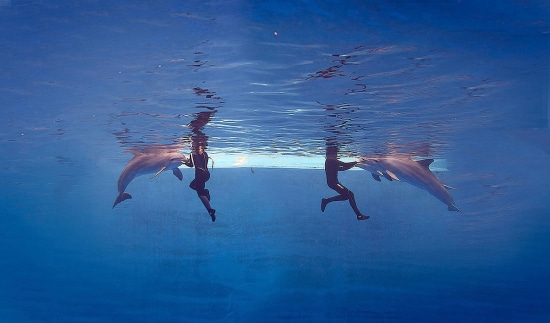 Arterofotografos es un estudio especializado en Fotografía publicitaria en Valencia, fotografia de producto profesional, estudio de fotografia en valencia, fotografia de interiorismo, fotografia de alimentacion, produccion de video corporativo en valencia, fotografia profesional de alta calidad