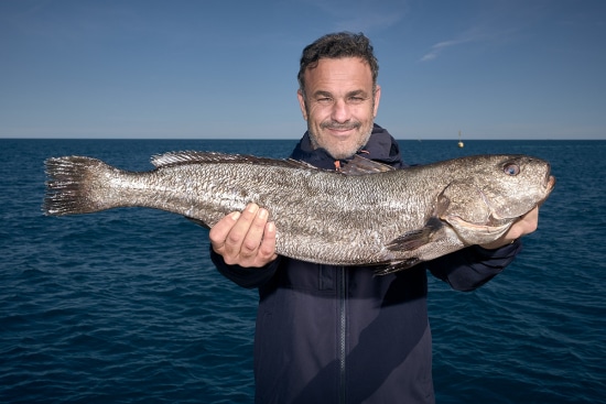 Arterofotografos es un estudio especializado en Fotografía publicitaria en Valencia, fotografia de producto profesional, estudio de fotografia en valencia, fotografia de interiorismo, fotografia de alimentacion, produccion de video corporativo en valencia, fotografia profesional de alta calidad